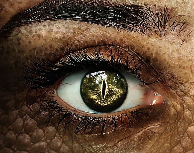 Dragon's Eye View
